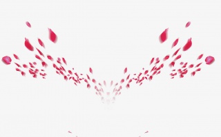花瓣漂浮元素