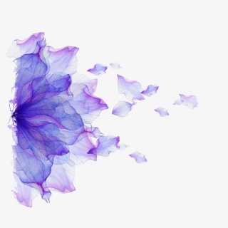 各种花卉的花瓣
