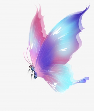 梦幻蝴蝶