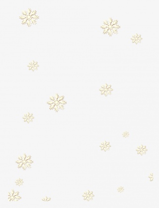 金色雪花