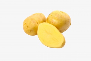 春夏新鲜蔬果美味土豆