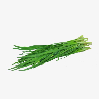 有机蔬菜韭菜实物拍摄