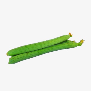 有机蔬菜丝瓜实物拍摄