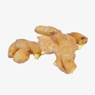 新鲜蔬菜姜实物摄影拍摄