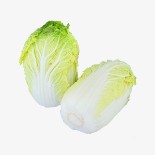 有机蔬菜圆白菜实物摄影