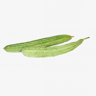 丝瓜蔬菜免抠实物png素材