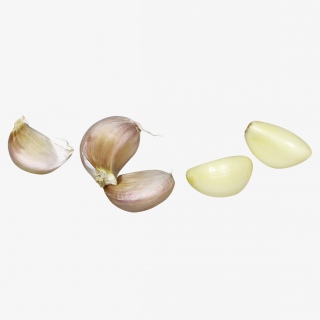 大蒜蔬菜免抠png素材