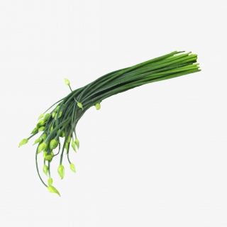 韭菜蔬菜实物png素材