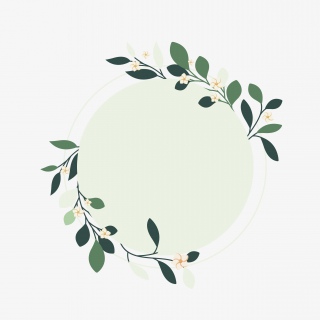 春天小清新绿色植物叶子花边边框