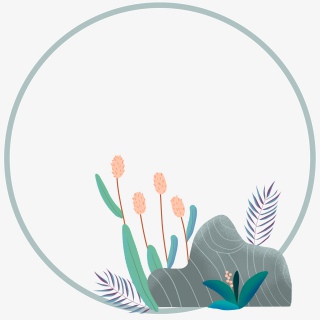 夏日手绘简约植物边框