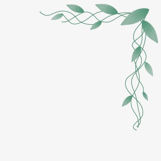 立夏唯美清新绿色藤蔓树叶边框