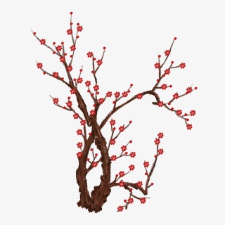 梅花手绘PNG免抠图
