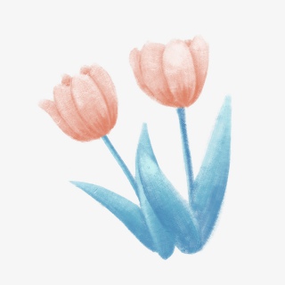 手绘油画质感郁金香