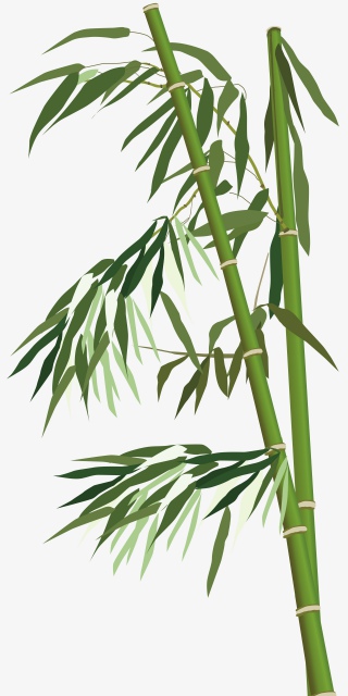 清明节谷雨绿色清新春竹竹子手绘