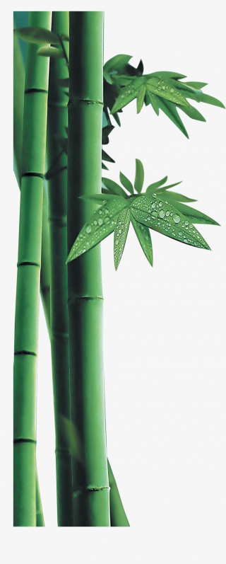 竹子