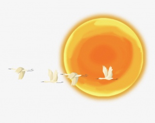 手绘夕阳下的大雁精美插画