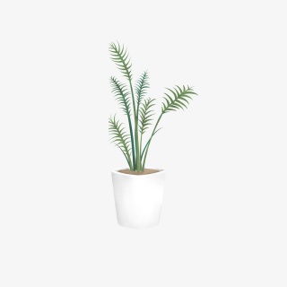 植物绿植绿化叶子桔梗装饰盆栽花