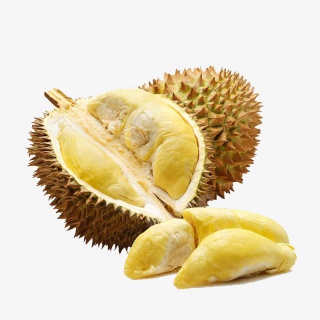 新鲜榴莲
