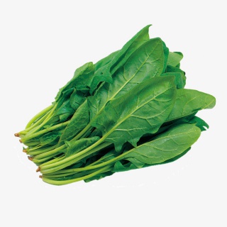 蔬菜菠菜