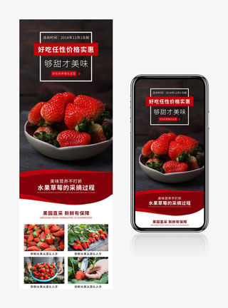 红色生鲜水果新鲜草莓日常通用详情页