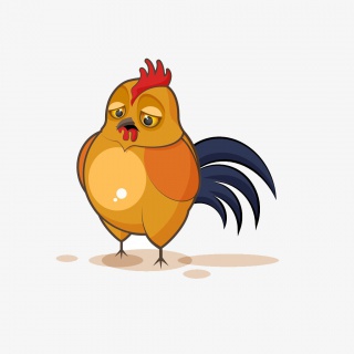 小黄鸡