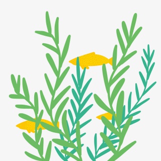 鱼水草绿色扁平鱼水草叶子png