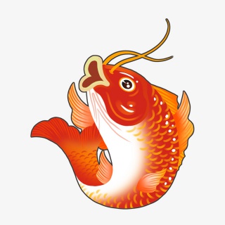 红鲤鱼