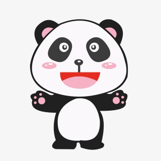 黑色小熊猫