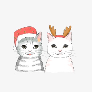 两只猫咪PNG卡通插画
