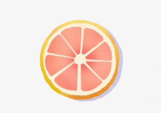 卡通西柚插图