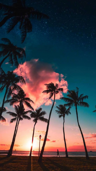 海边黄昏美景图片手机壁纸