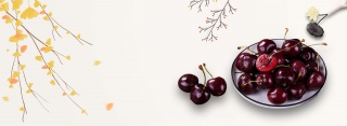 车厘子简约白色banner