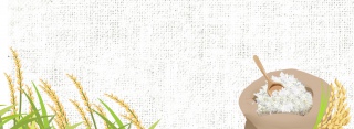 粮食简约白色banner