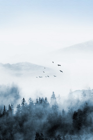 大气水墨森林山水背景