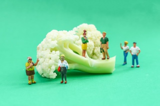 花菜上的趣味小人
