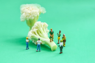 花菜上的趣味小人